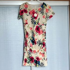 PinkBlush Maternity Fitted Mid-thigh Dress